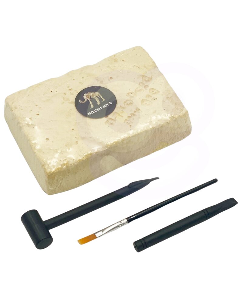 Arheoloogia mäng lastele