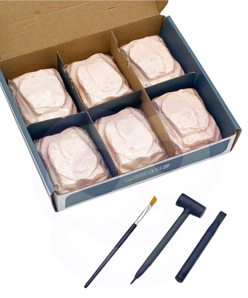 Jääaja avastamine kodus