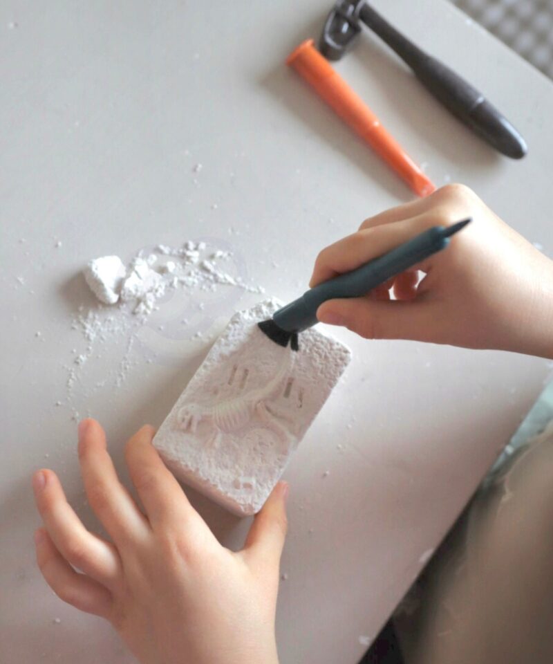 Kuus dinosauruse skeletti avastamiseks