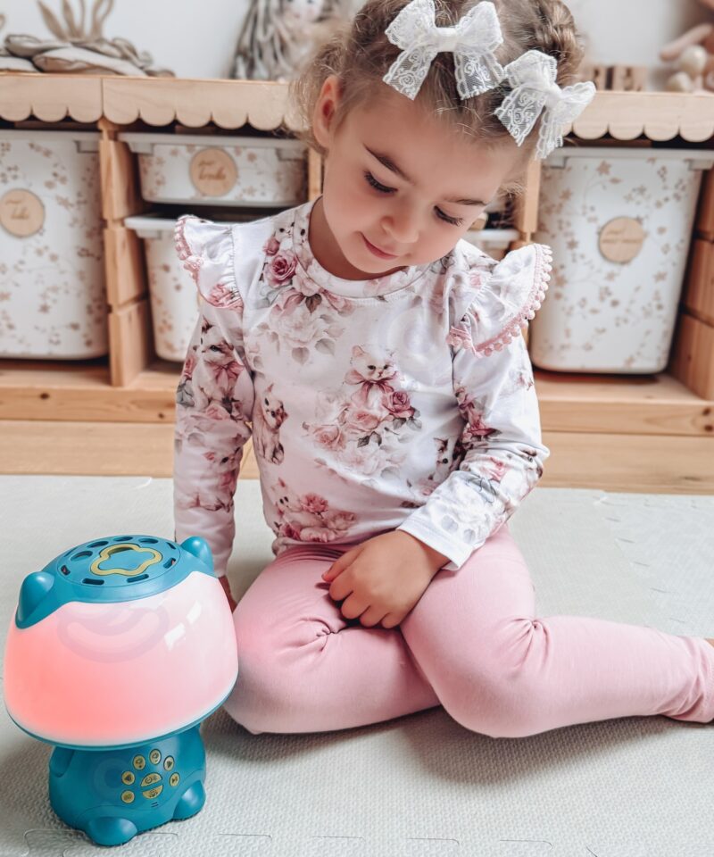 Kõlar karaoke režiimiga