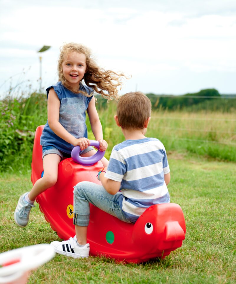 Dinosaurus disainiga kiikhobune