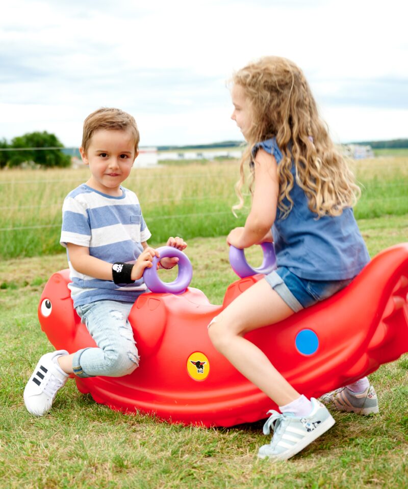 Kiikhobune sobib toas ja õues