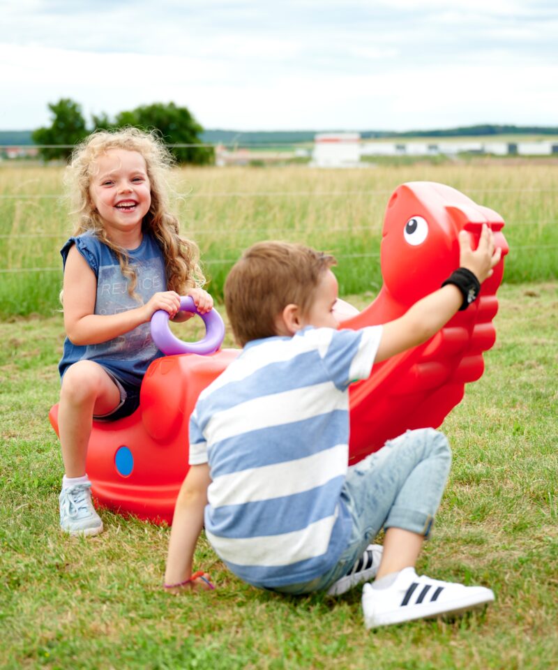 Kiikhobune sobib toas ja õues