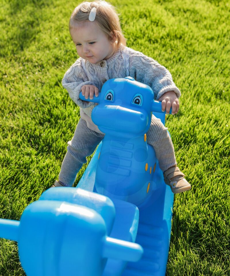 Lastele mõeldud tasakaalukiik