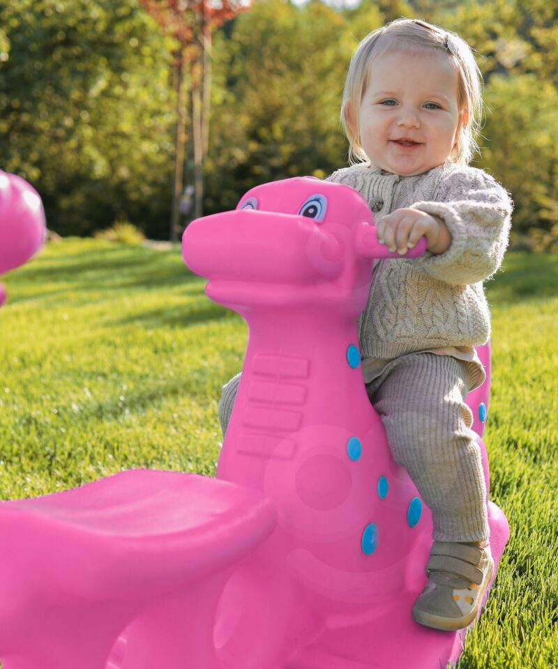 Dinosauruse disainiga kiikhobune