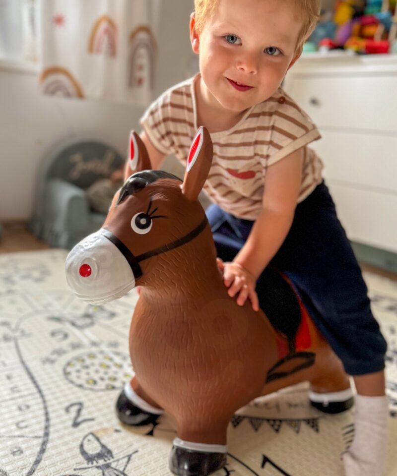 Lõbus hüppeloom pruunist hobusest