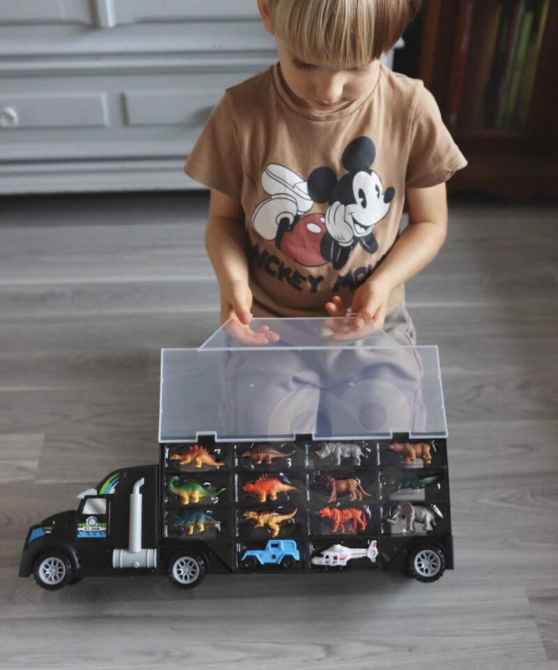 Mänguautode hoiukohver