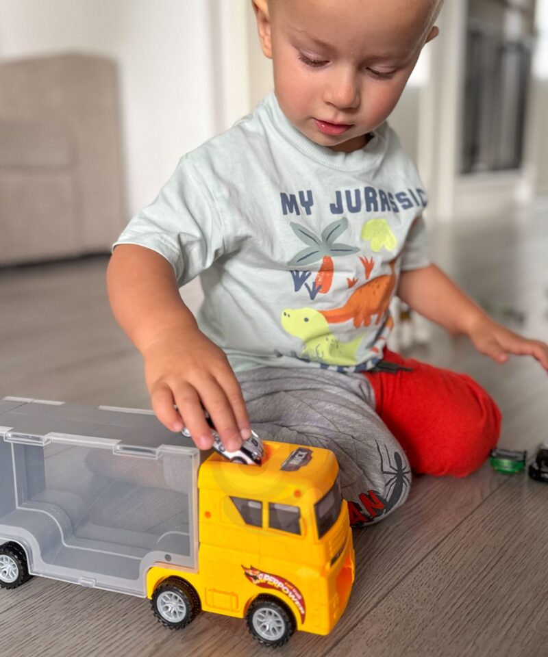 Realistlikud dinosauruste ja maastikuelemendid