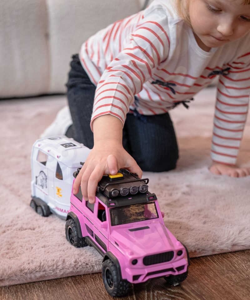 Hobusehaagis ja hobune lastele