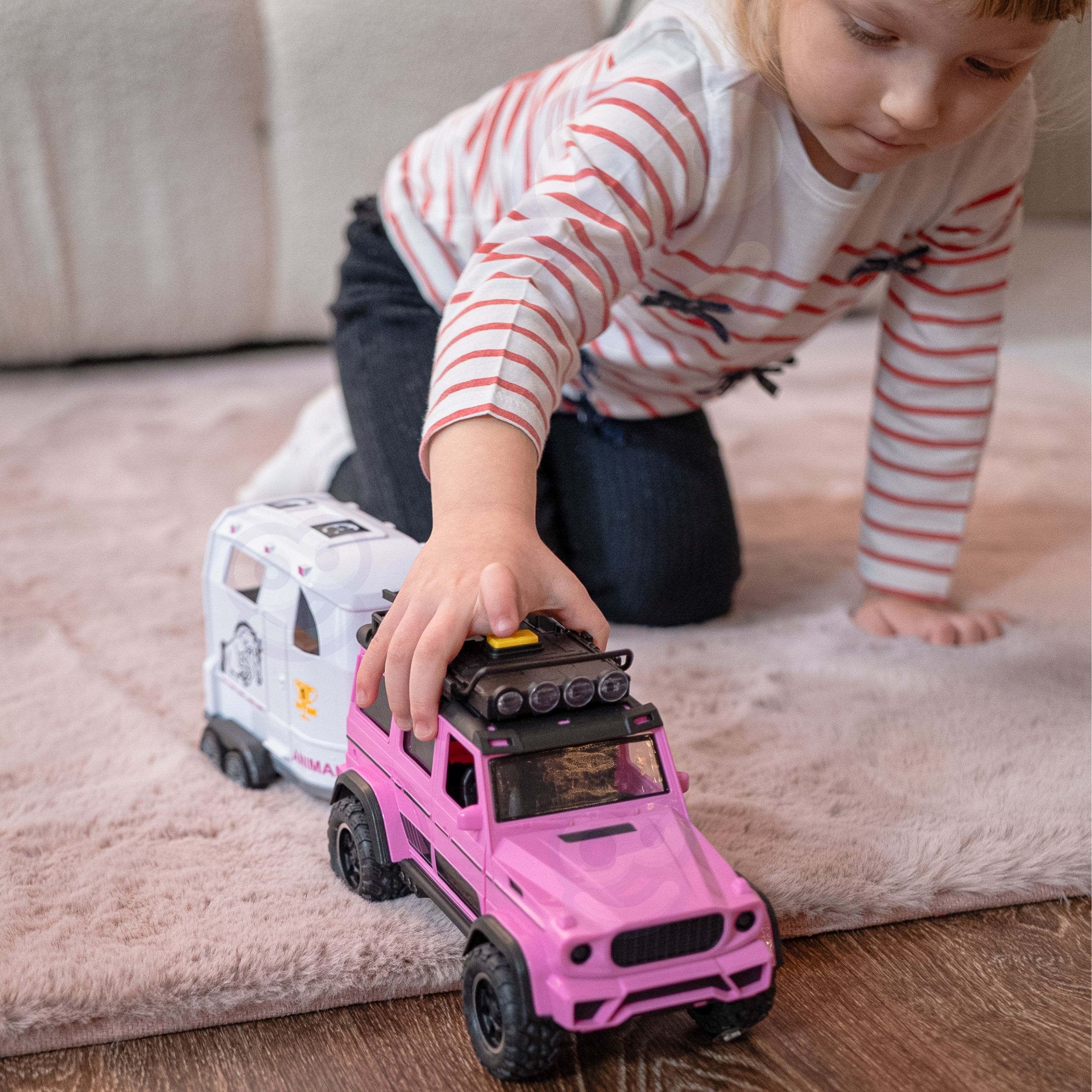 Hobusehaagis ja hobune lastele