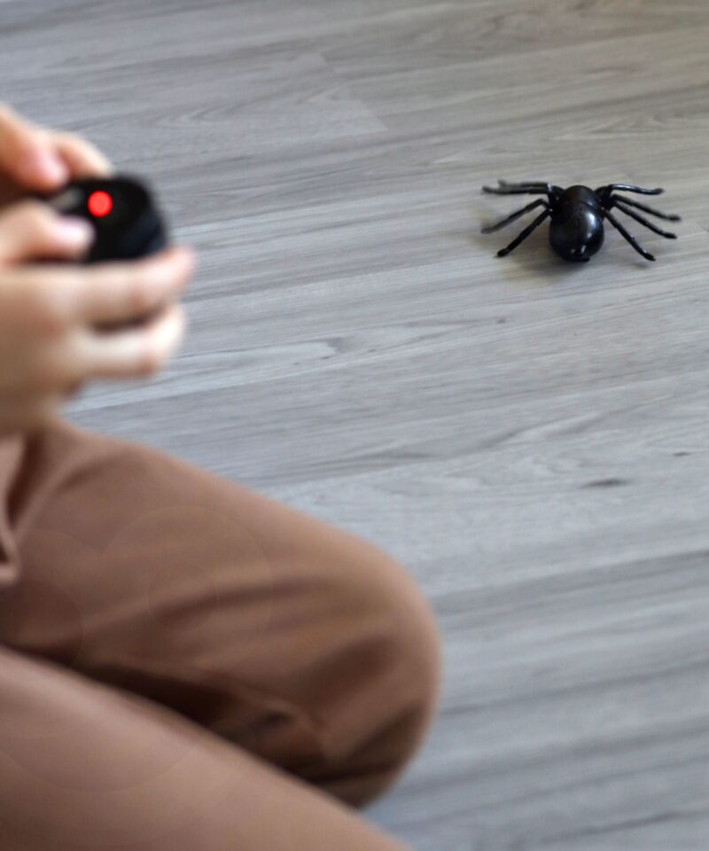 Kaugjuhitav ämblik LED-silmadega