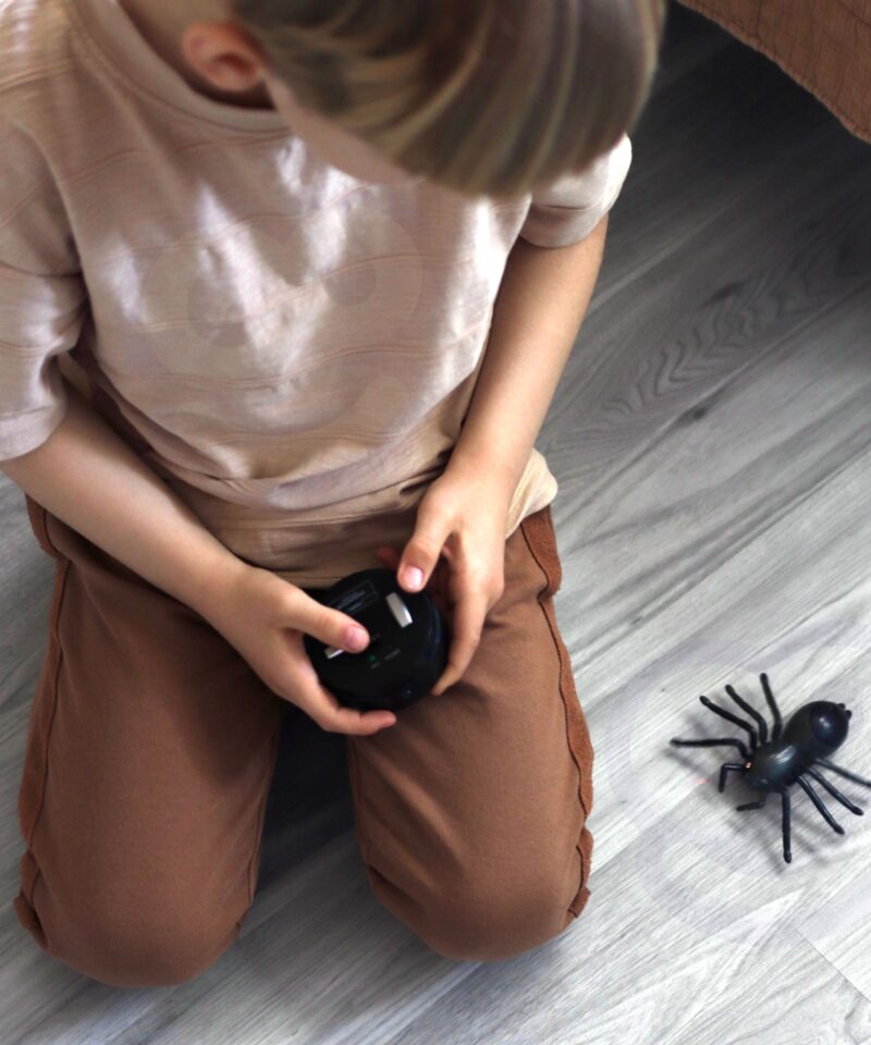 Ämblik koos kaugjuhtimispuldiga