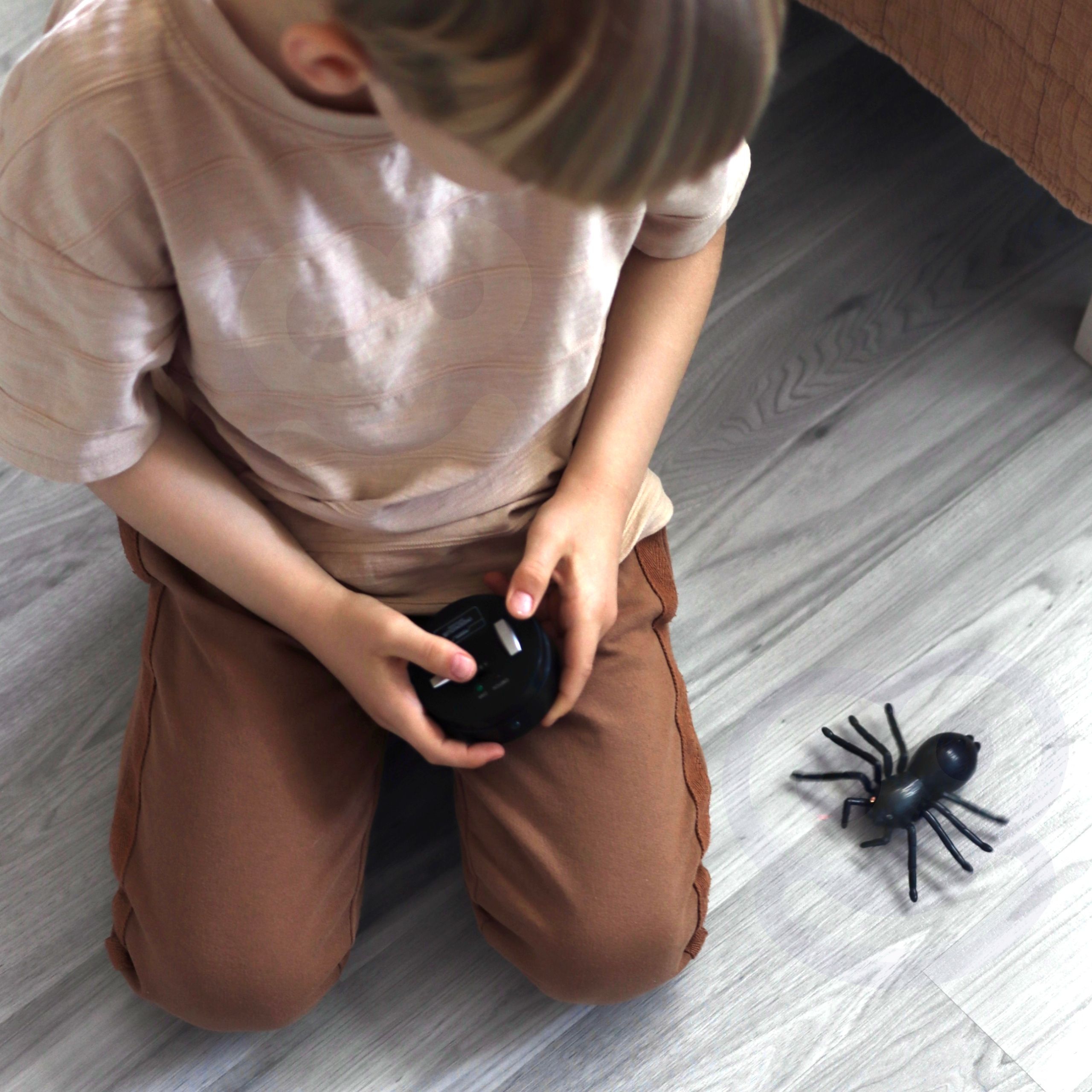 Ämblik koos kaugjuhtimispuldiga