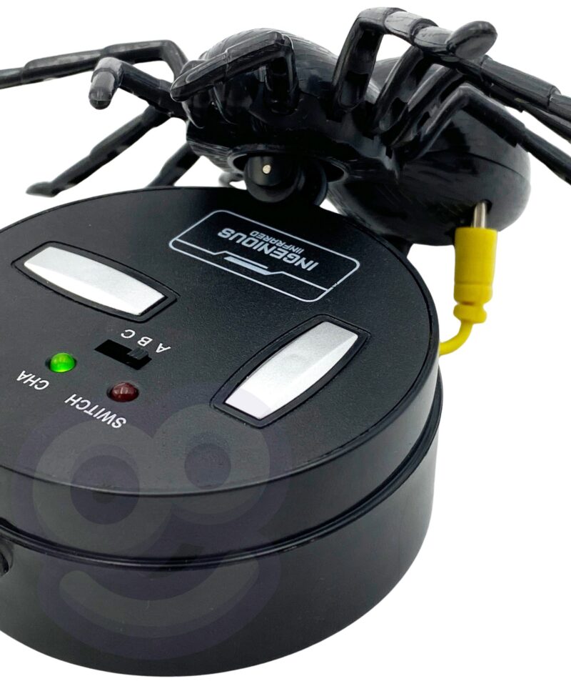 Ämblik, mis pöörleb 360 kraadi