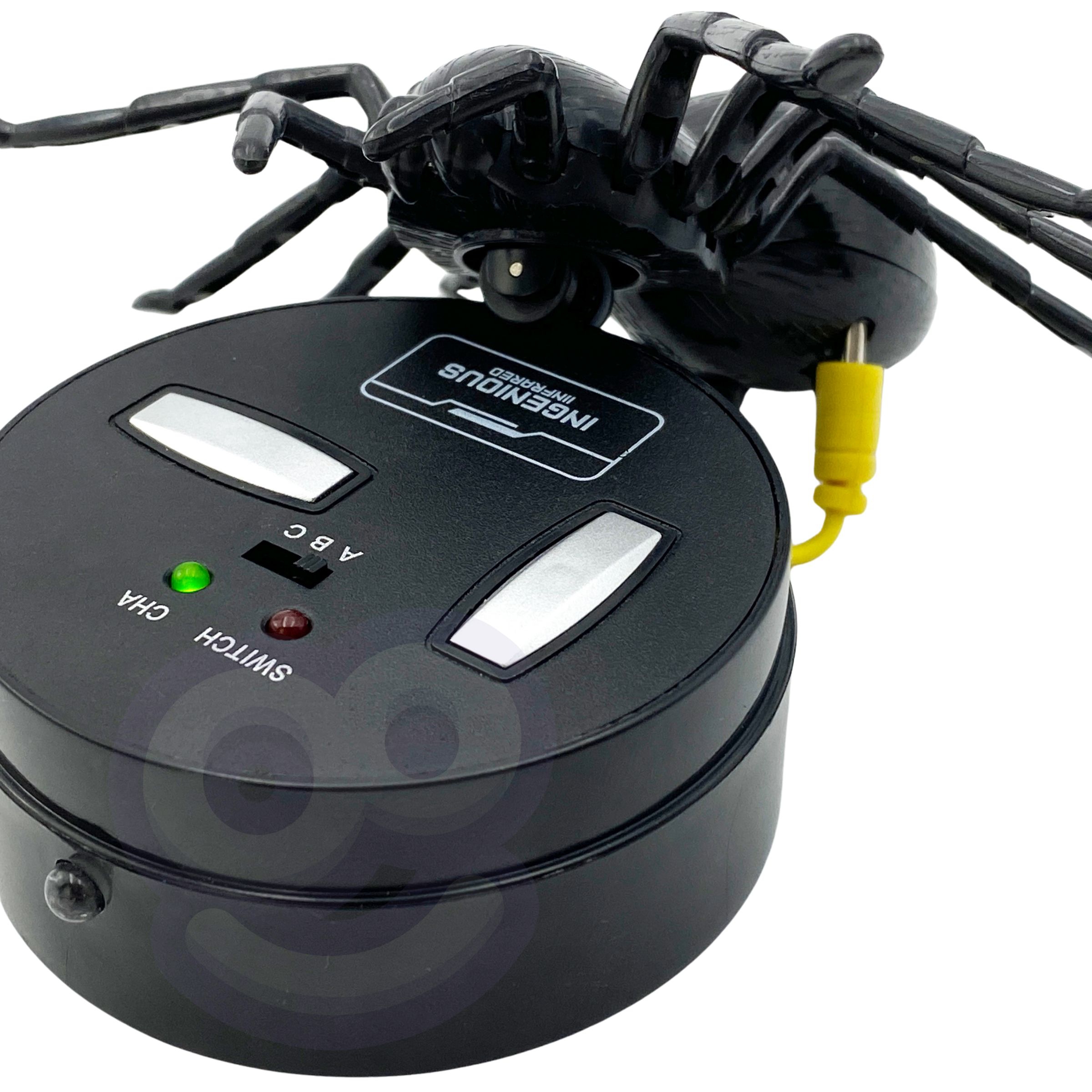 Ämblik, mis pöörleb 360 kraadi