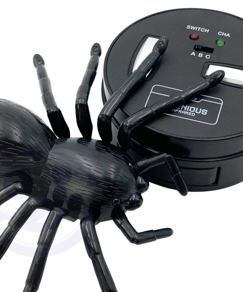 Ämblik, mis pöörleb 360 kraadi