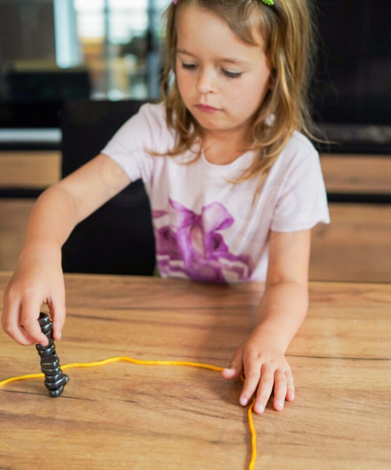 Avasta magnetismi mängukomplektiga