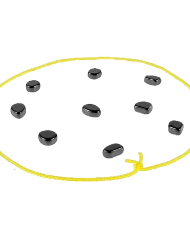 Avasta magnetismi mängukomplektiga