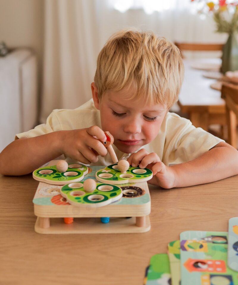 Värvikas puidust magnetmäng lastele