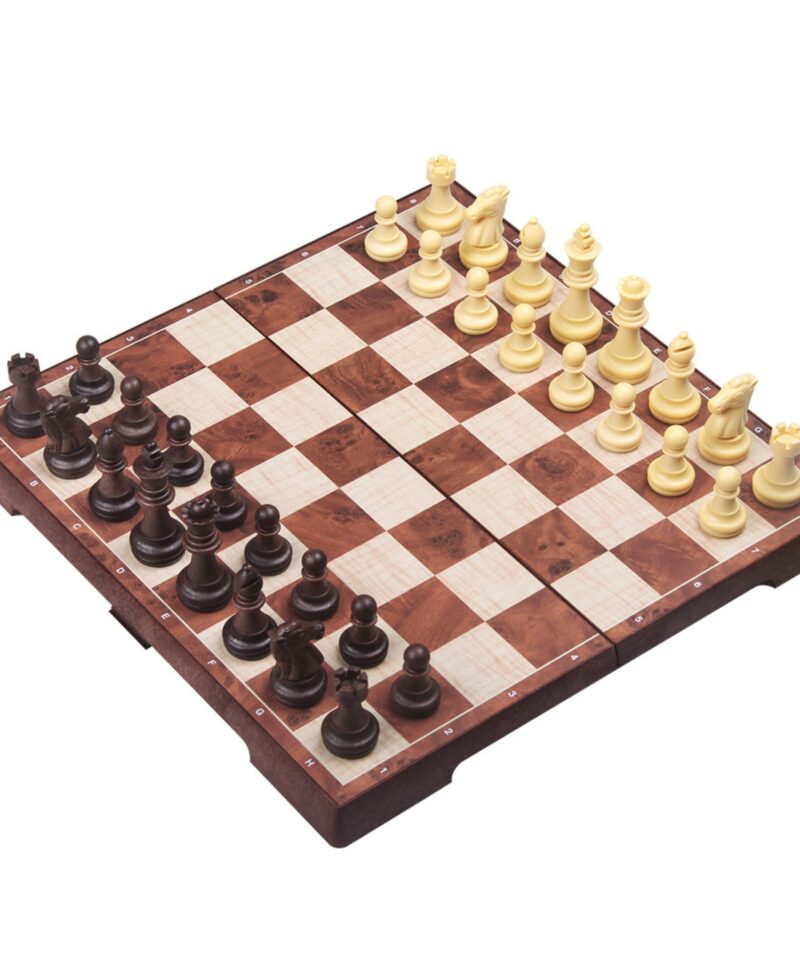 Klassikaline magnetiline male ja kabe