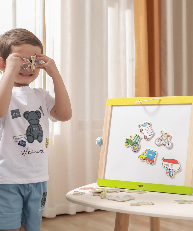 Erinevate sõidukite puidust magnetid