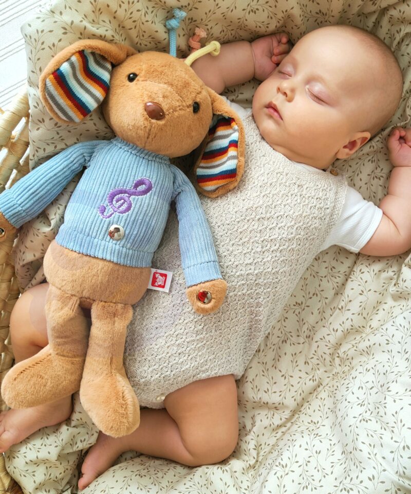 Pehme jänku kaisulelu muusikaga