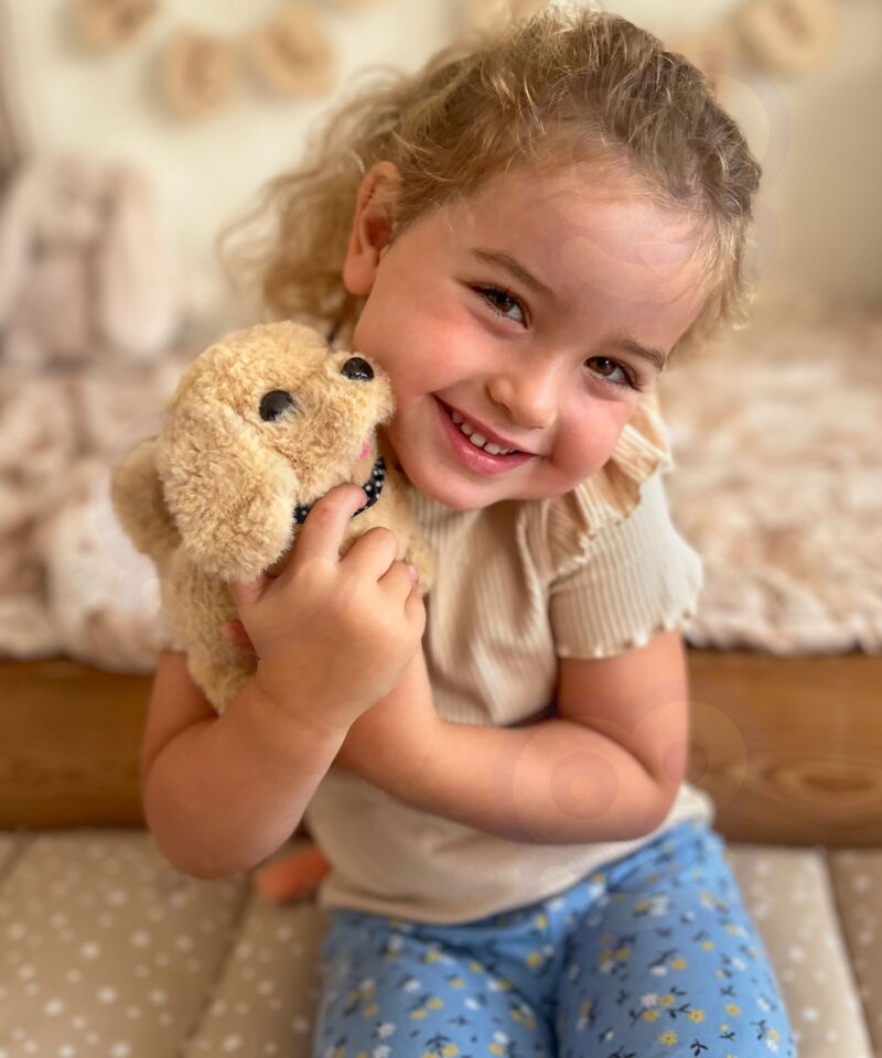 Pehme plüüskoer, ideaalne kaisutamiseks