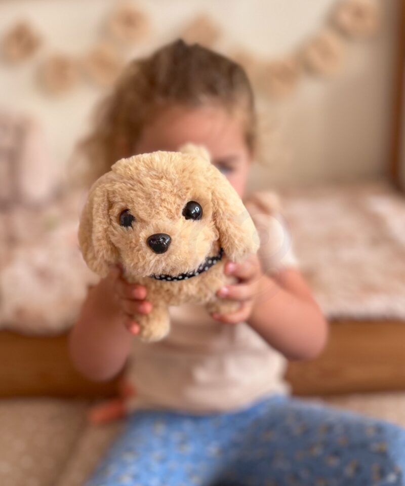 Lastele mõeldud interaktiivne koerake