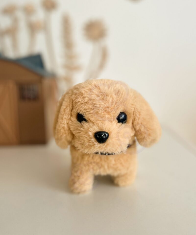 Plüüskoer kaasaegse disainiga