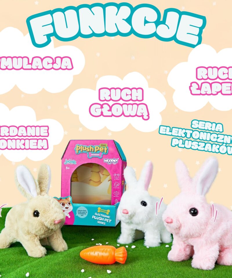 Arendav mänguasi lastele