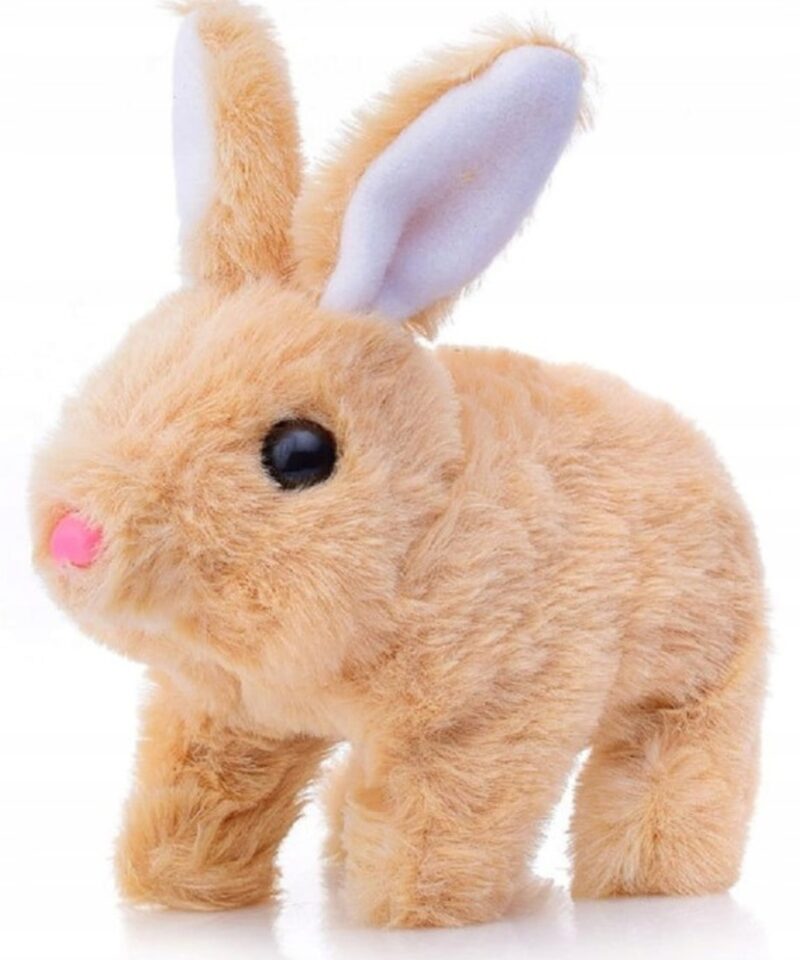 Kaisujänes koos porgandiga