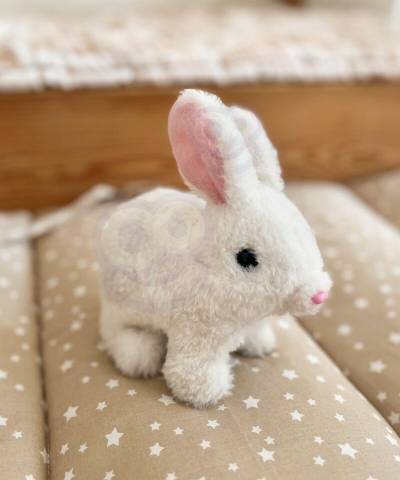 Lastele rõõmu pakkuv kaisujänes