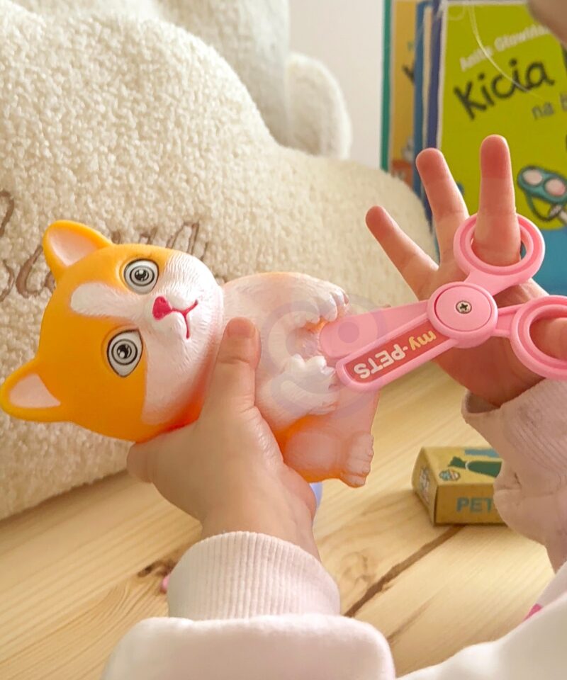 Mängukomplekt lastele koos kassiga