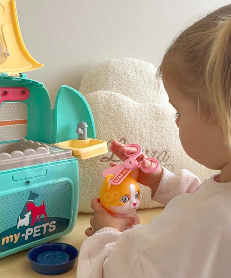 Kassiga mängukomplekt hoolduseks