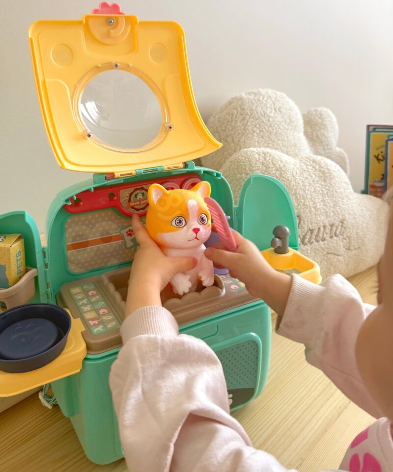 Seljakott mänguasjade hoiustamiseks