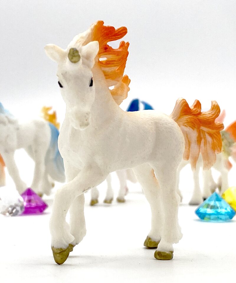 Maagiline maailm ootab avastamist