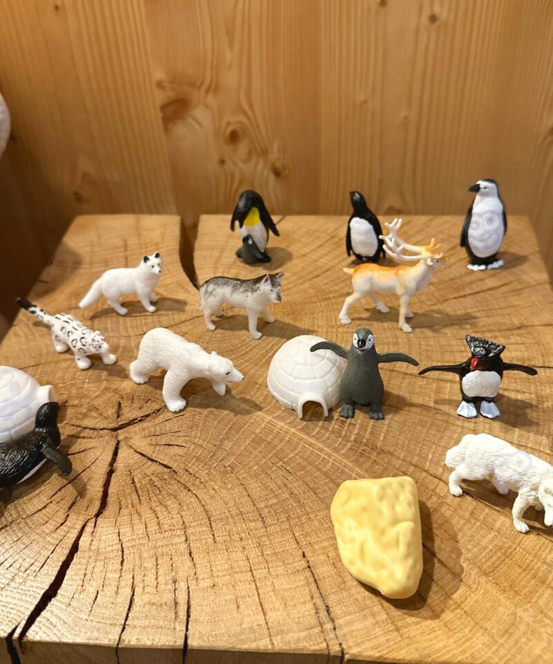 Realistlikud arktika loomad lastele