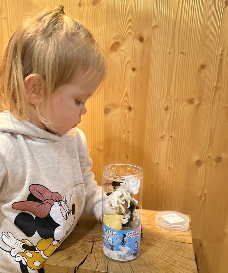 Hariv arktika loomade komplekt