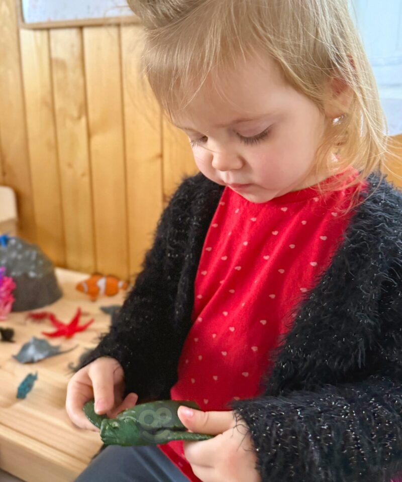 Realistlikud mereelukate figuurid komplektis