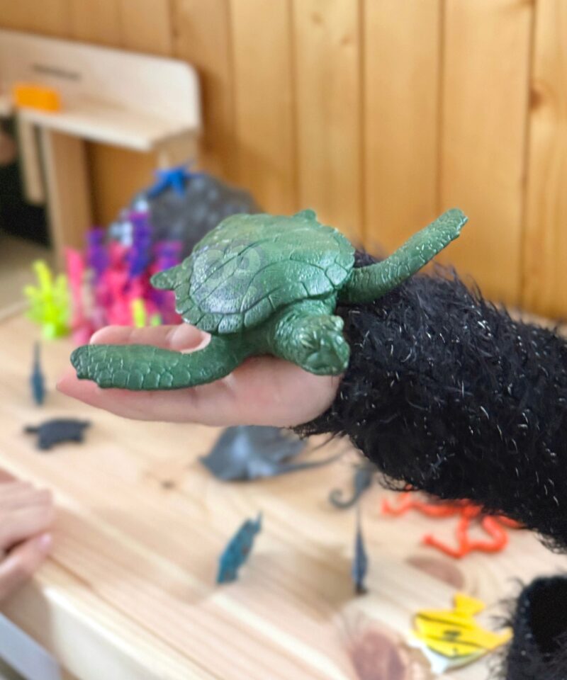 Ideaalne kingitus väikesele kollektsionäärile