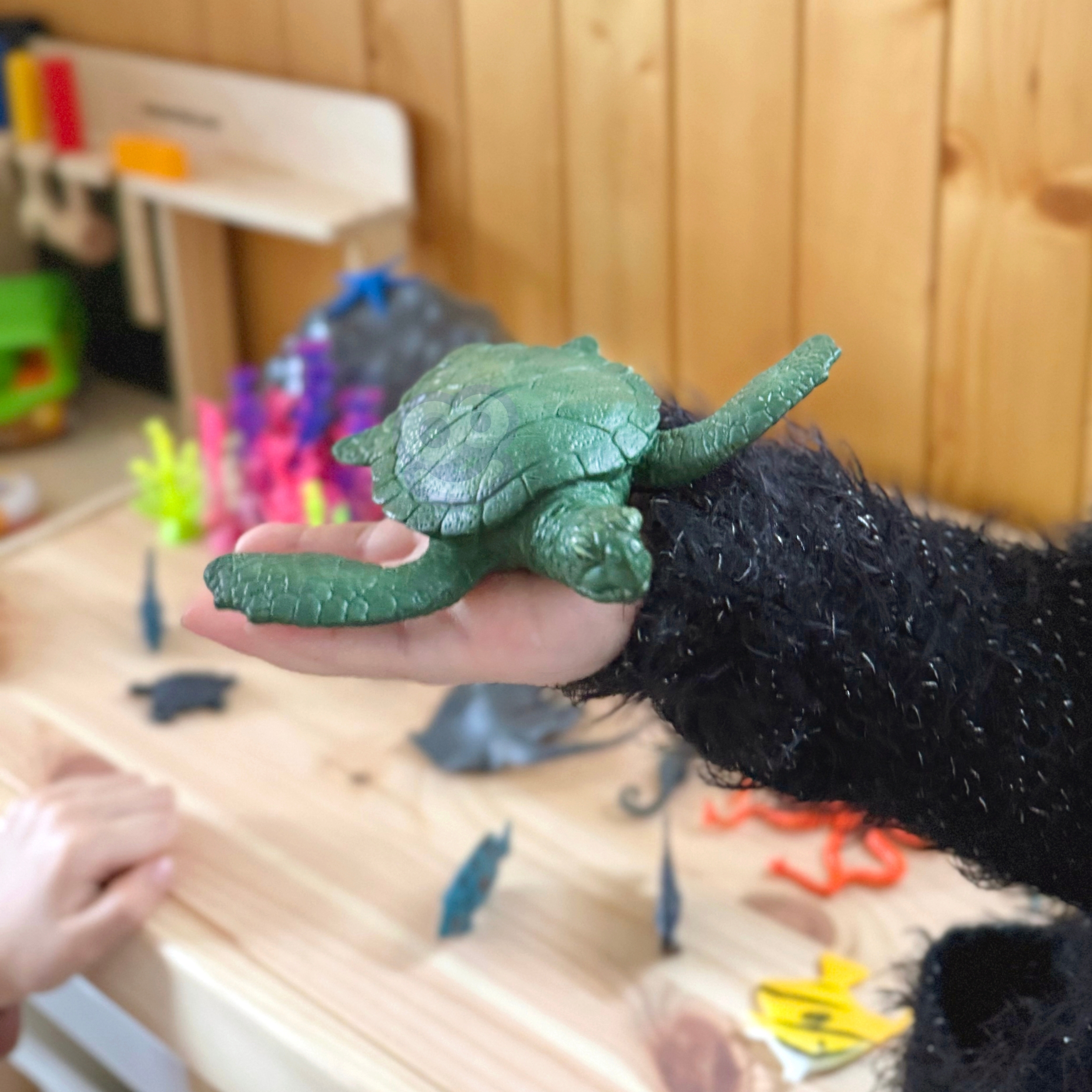 Ideaalne kingitus väikesele kollektsionäärile