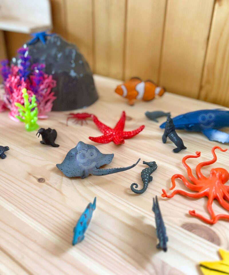 Loo oma mereelustiku maailm