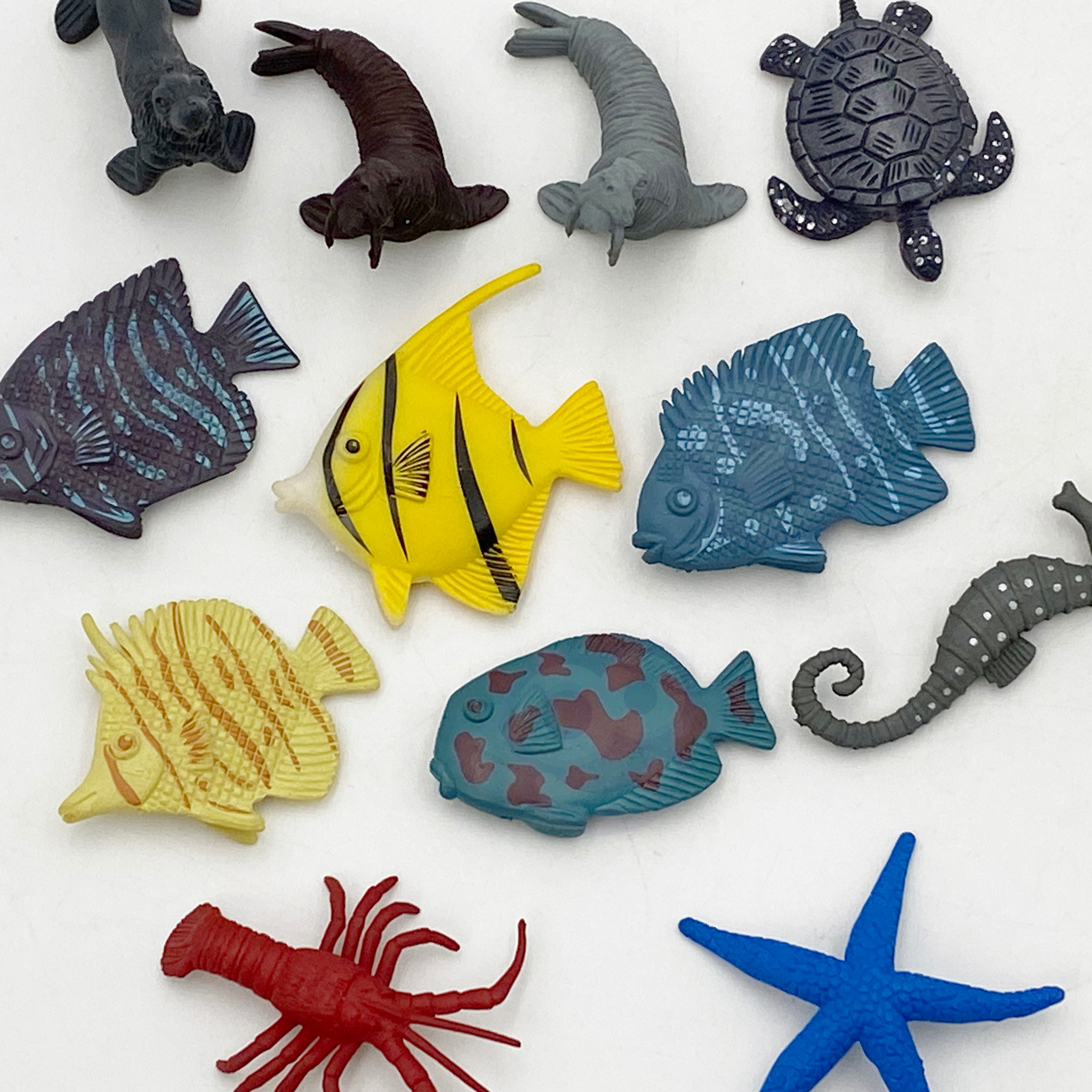 Loo oma mereelustiku maailm