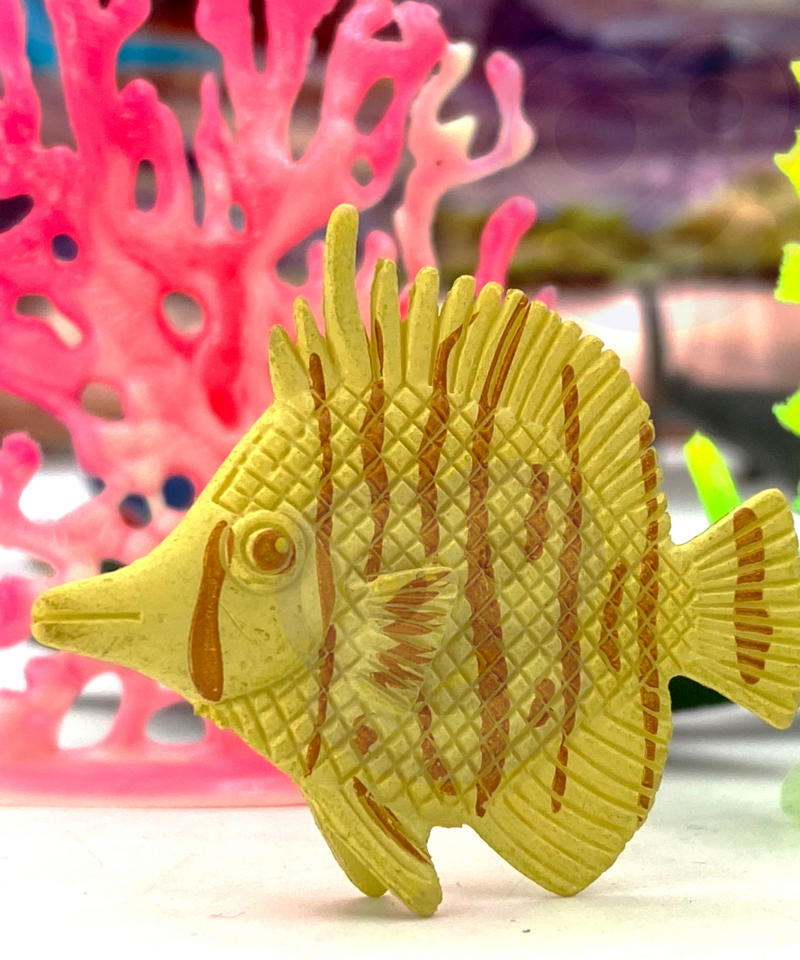 Loo oma mereelustiku maailm