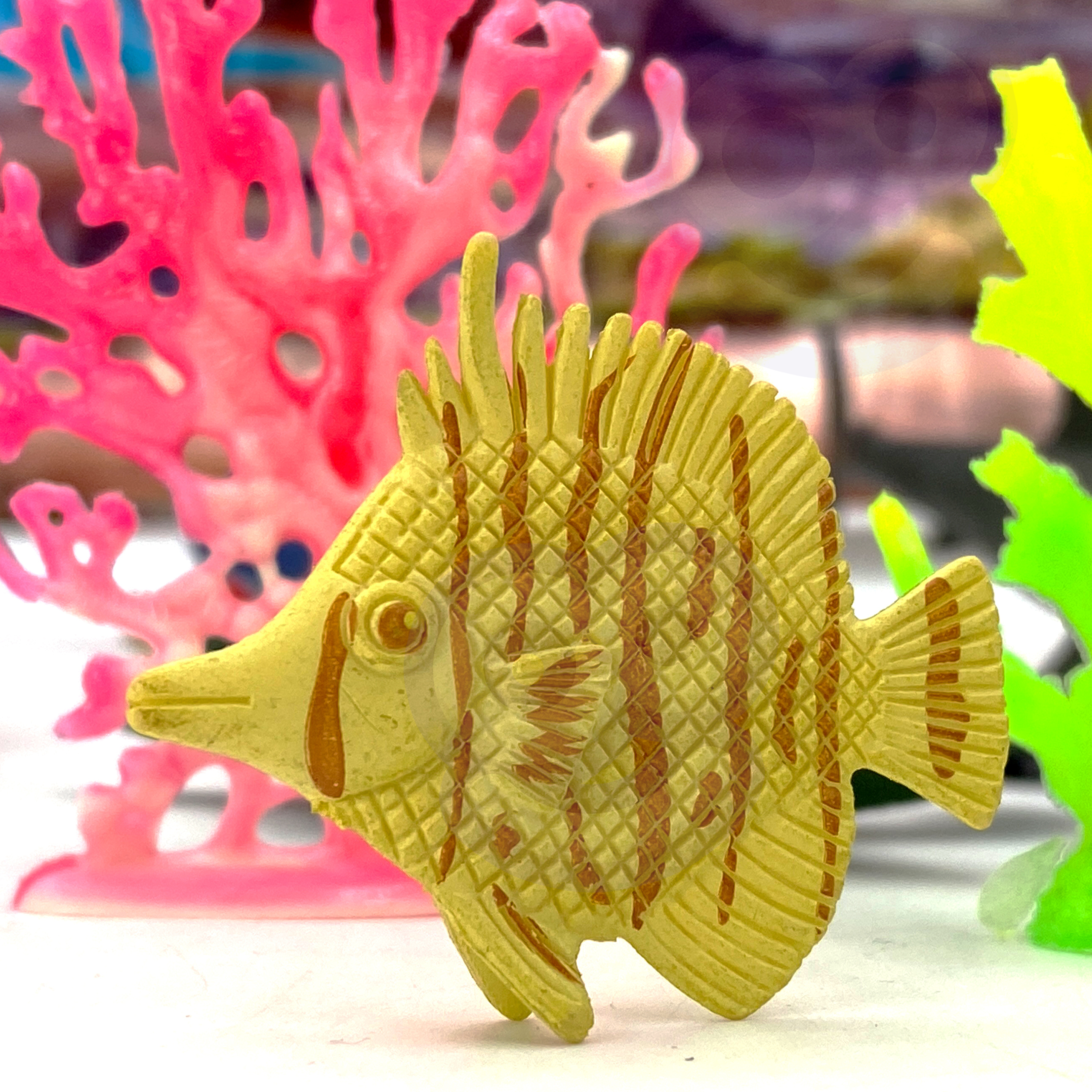 Loo oma mereelustiku maailm