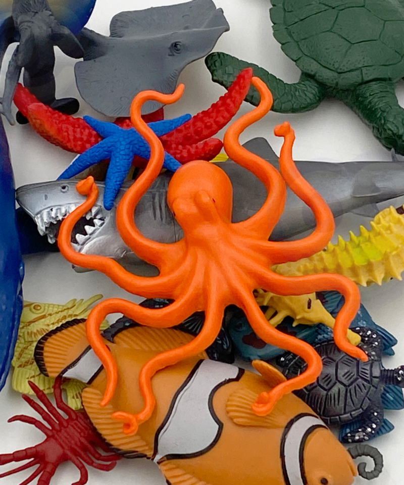 Loo oma mereelustiku maailm