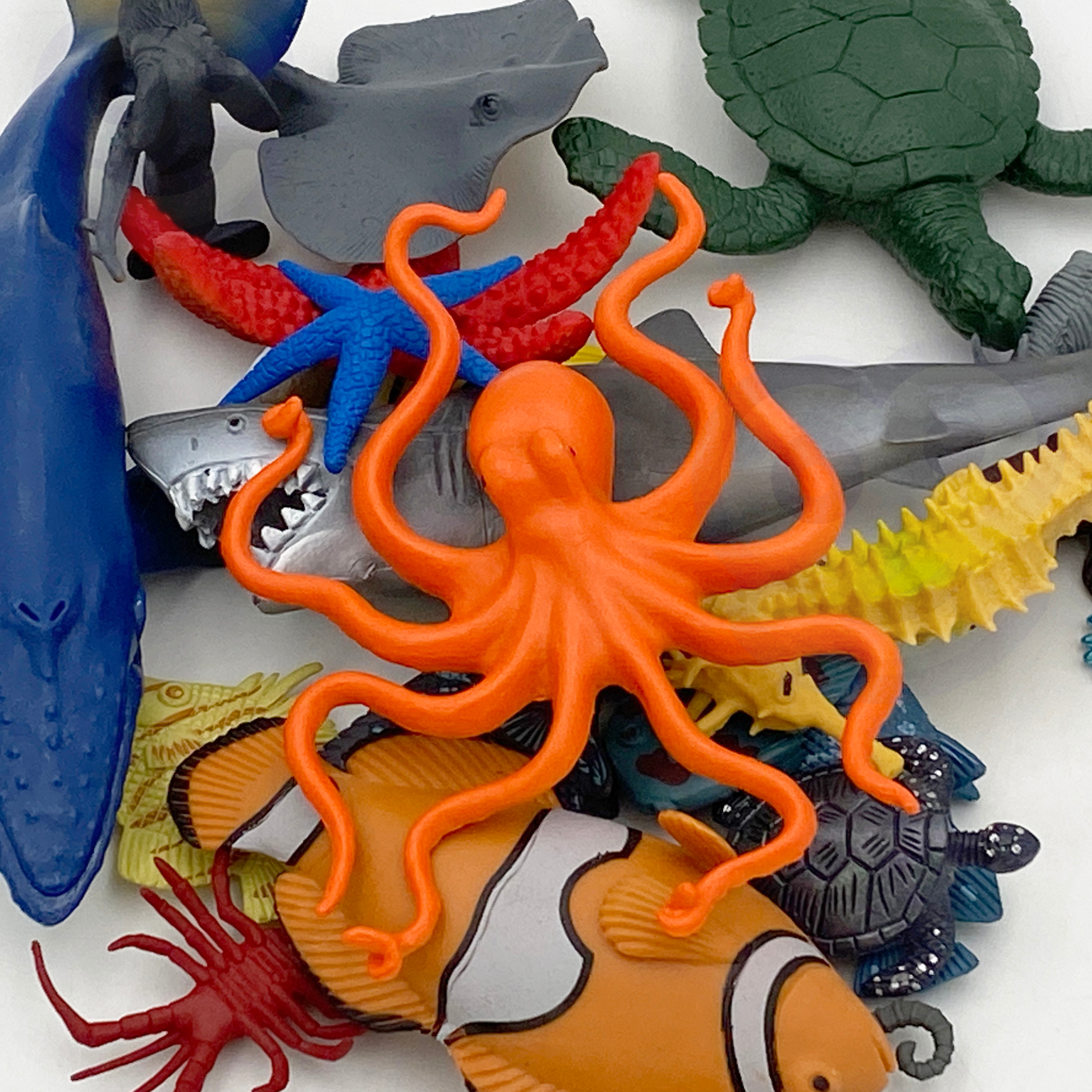 Loo oma mereelustiku maailm