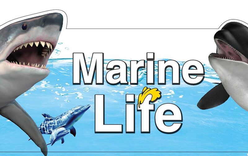 Loo oma mereelustiku maailm