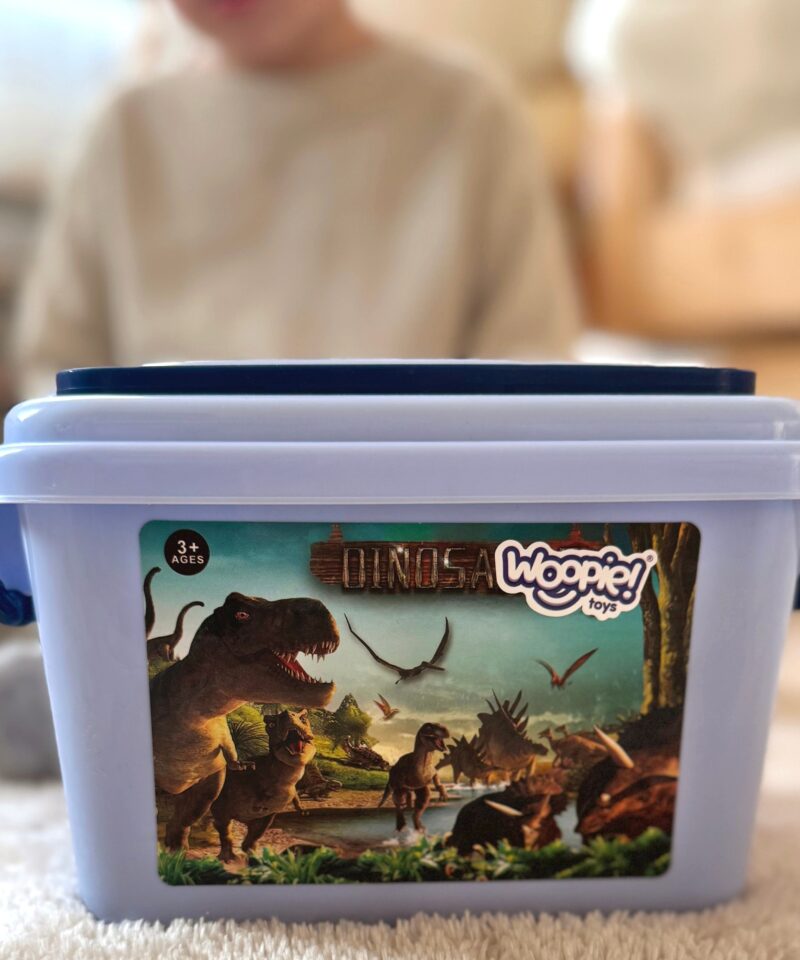 Lõbus ja õpetlik mängukomplekt lastele