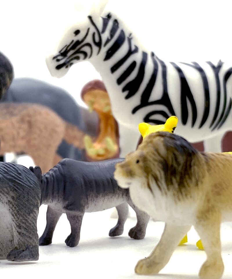 Praktiline hoiukarp loomade hoidmiseks